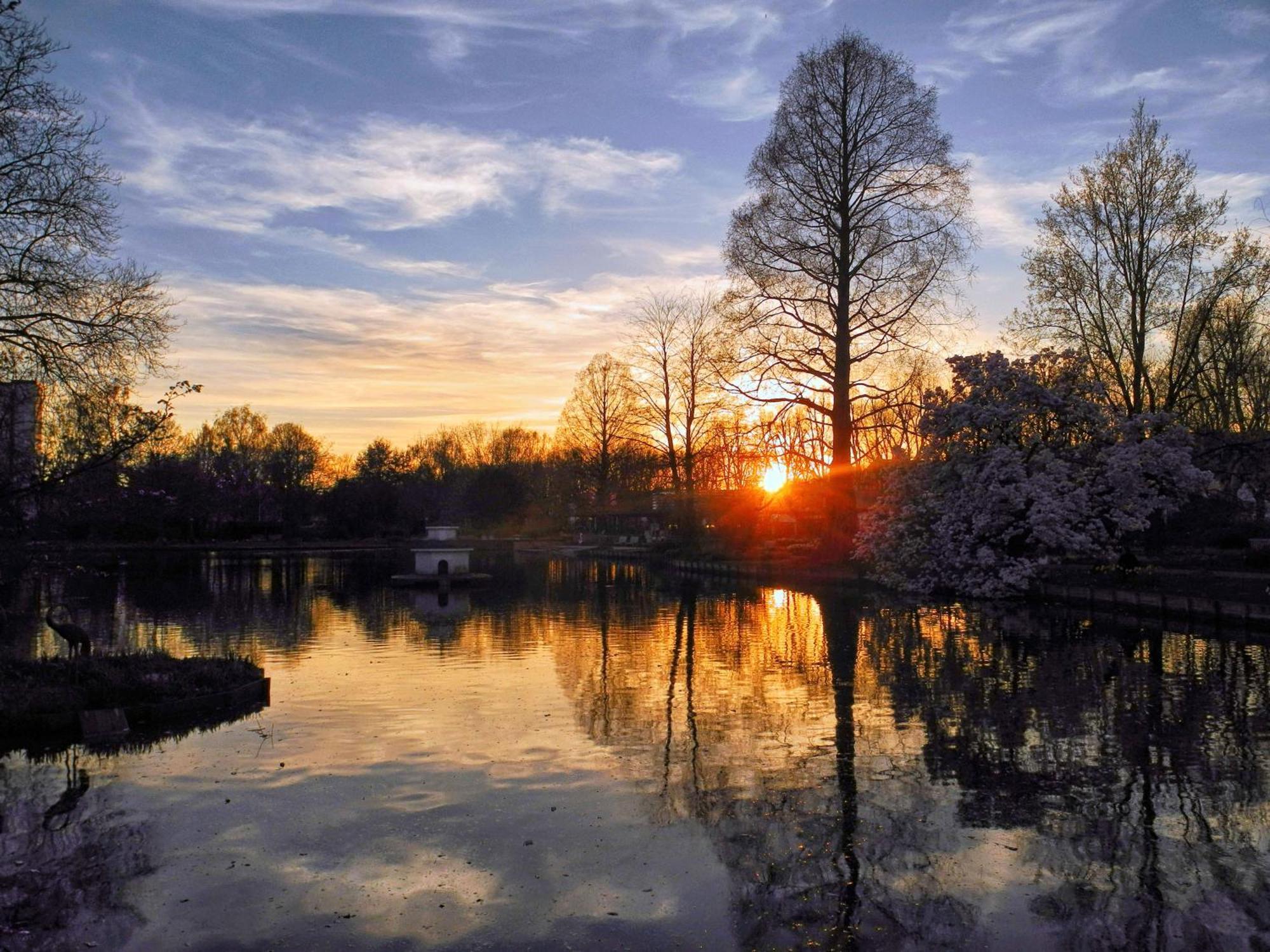Im Vital Art Naturgarten ツヴァイブリュッケン エクステリア 写真