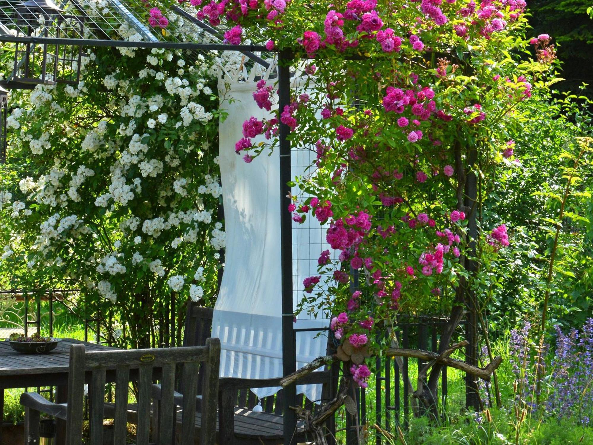 Im Vital Art Naturgarten ツヴァイブリュッケン エクステリア 写真