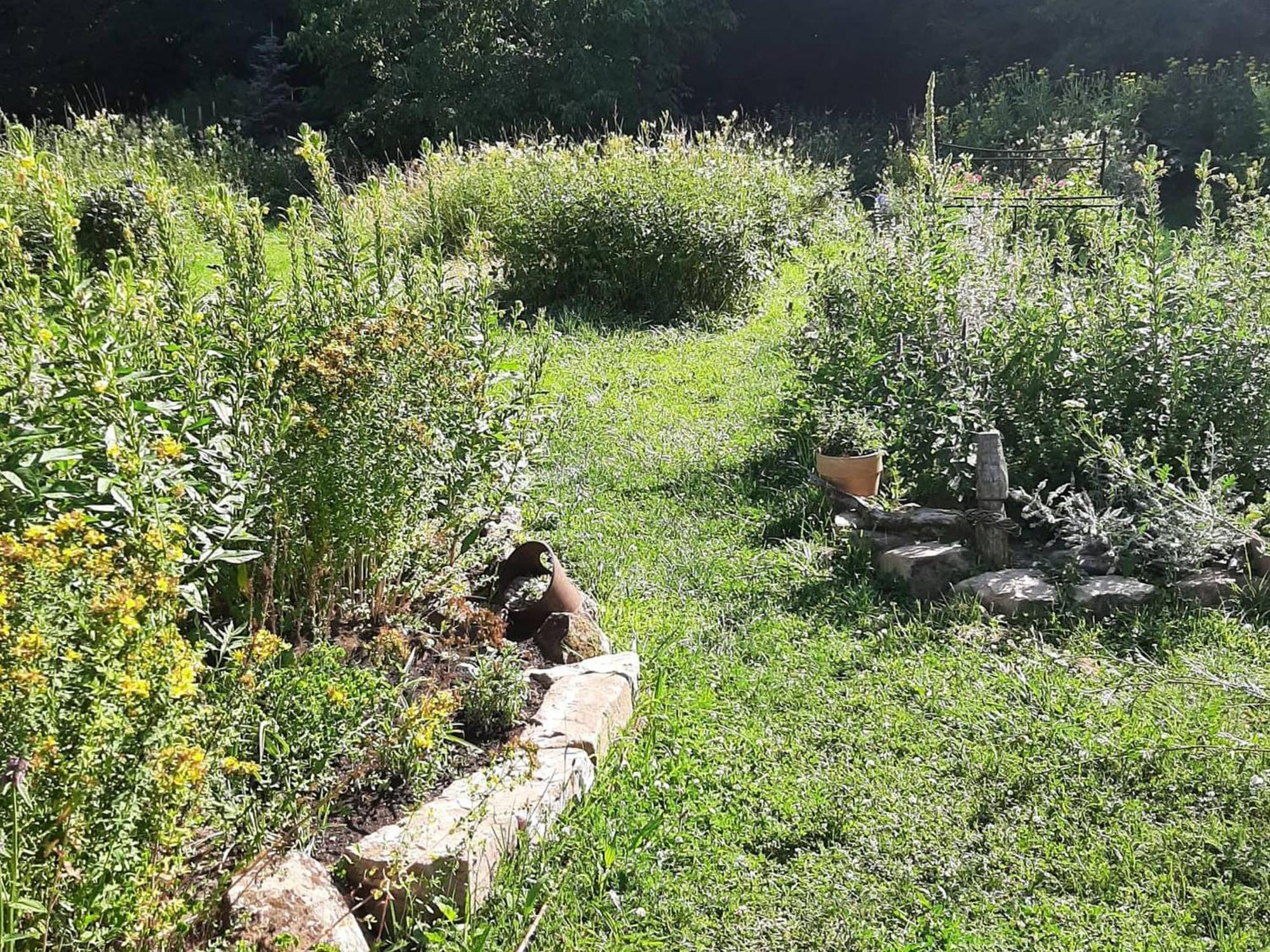 Im Vital Art Naturgarten ツヴァイブリュッケン エクステリア 写真